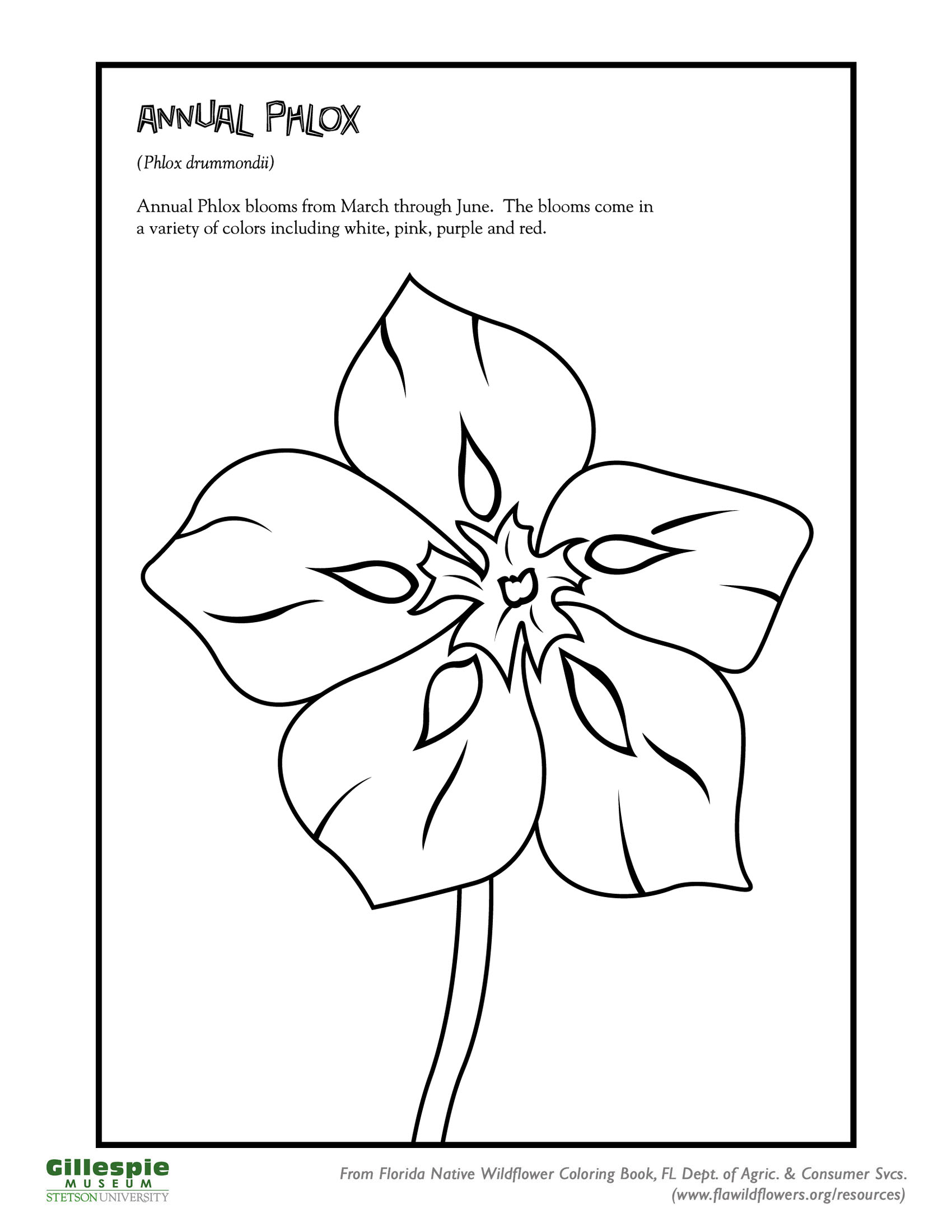 Fl State Flower Coloring Pages